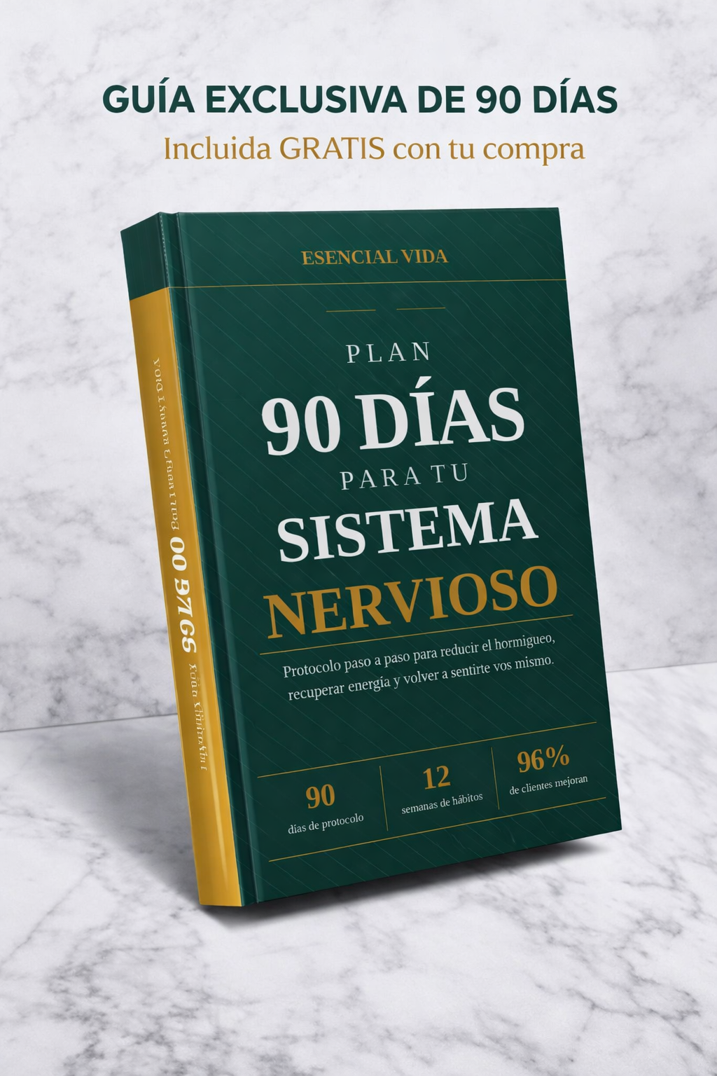 Plan 90 días: Más energía, menos hormigueo