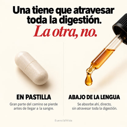 Fórmula B - Complejo B12 B6 B1 Sublingual para Sistema nervioso y Energia