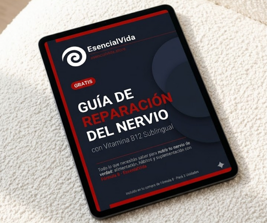 GUIA REPARACION DEL NERVIO