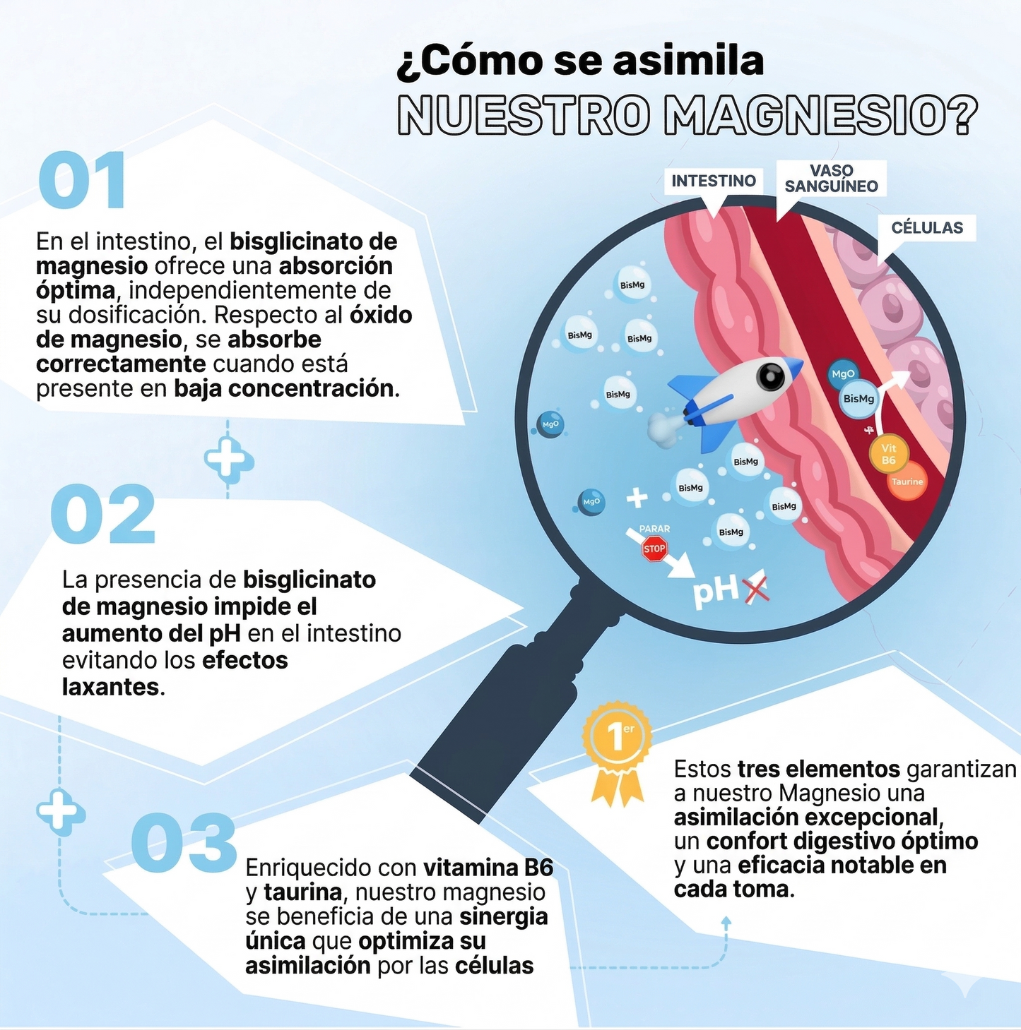 Magnesio Recuperación Total