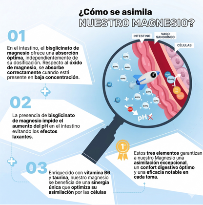 Magnesio Recuperación Total